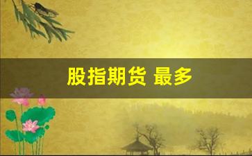 股指期货 最多(股指期货最多可以持有多少手)_https://www.xzdzcjn.com_上交所_第1张